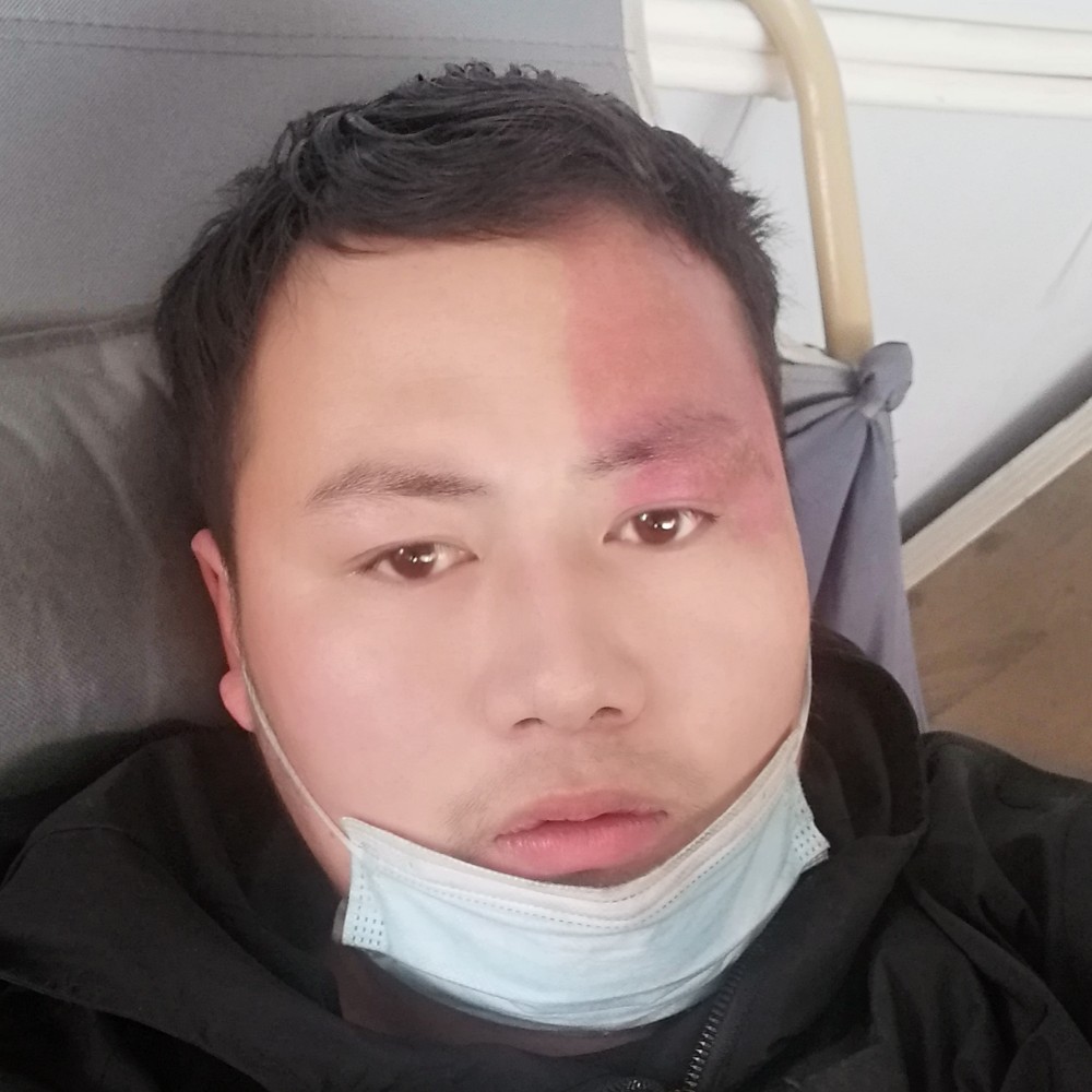 龙猫吃火龙果的照片