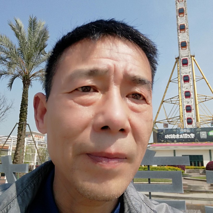 踏实大树的照片