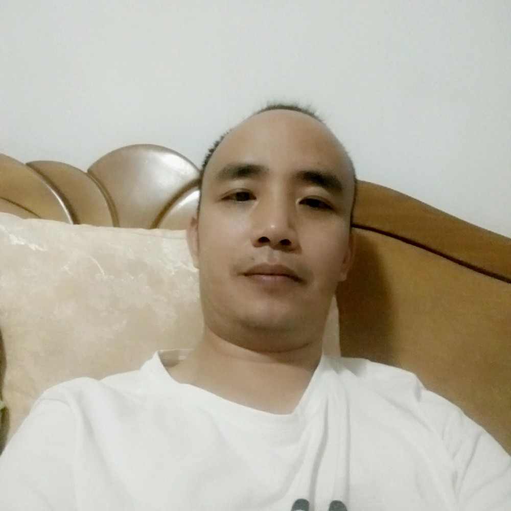 蚂蚁愿现代的照片