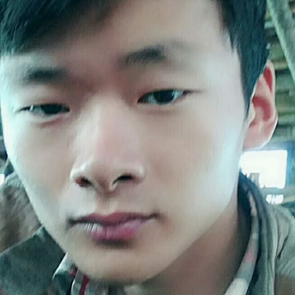 漠然金针菇的照片