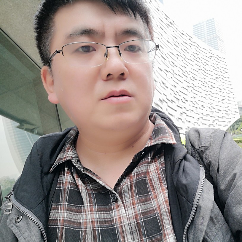 落叶梧桐的照片