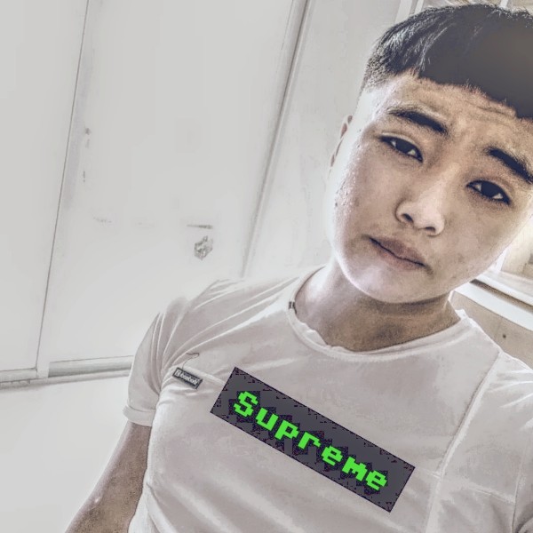 有魅力树叶的照片
