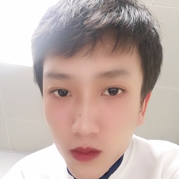 仙人掌愿苹果的照片