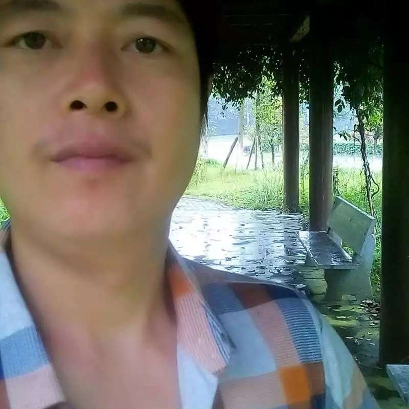 老叶叶的照片