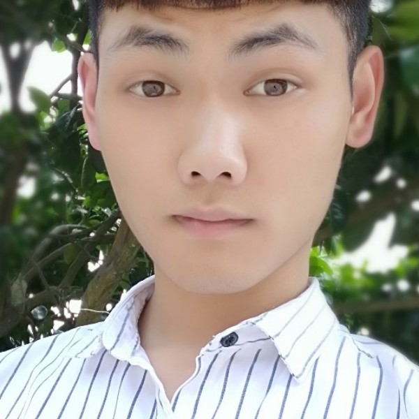 小蚂蚁的单身路的照片