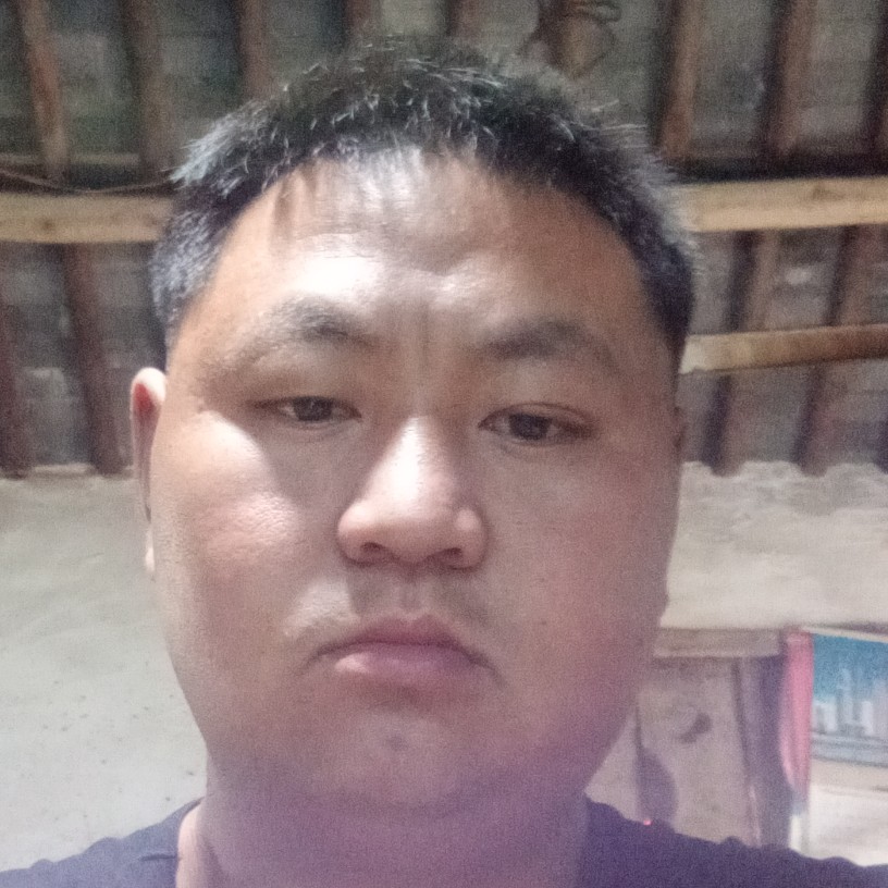 迅速的铃铛的照片