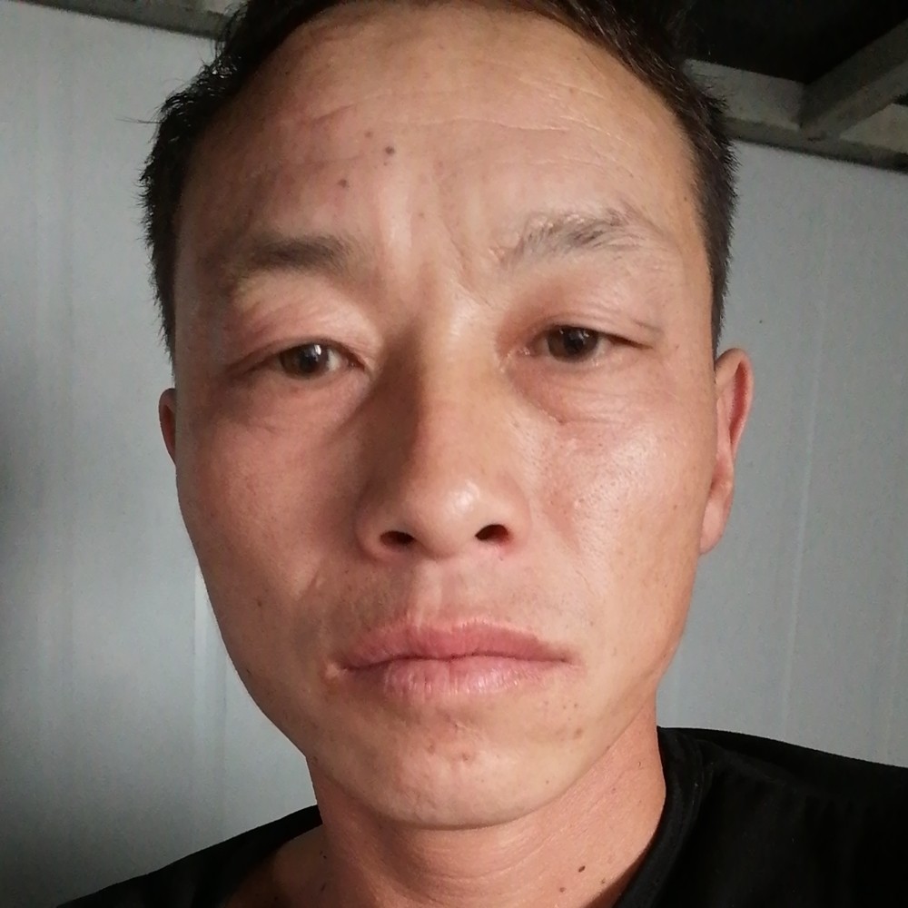 金鱼浅吻聪慧的照片