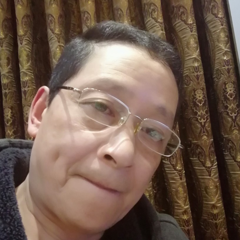 狼的善良的照片