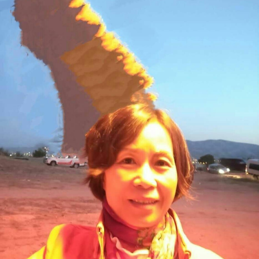 24686006的照片