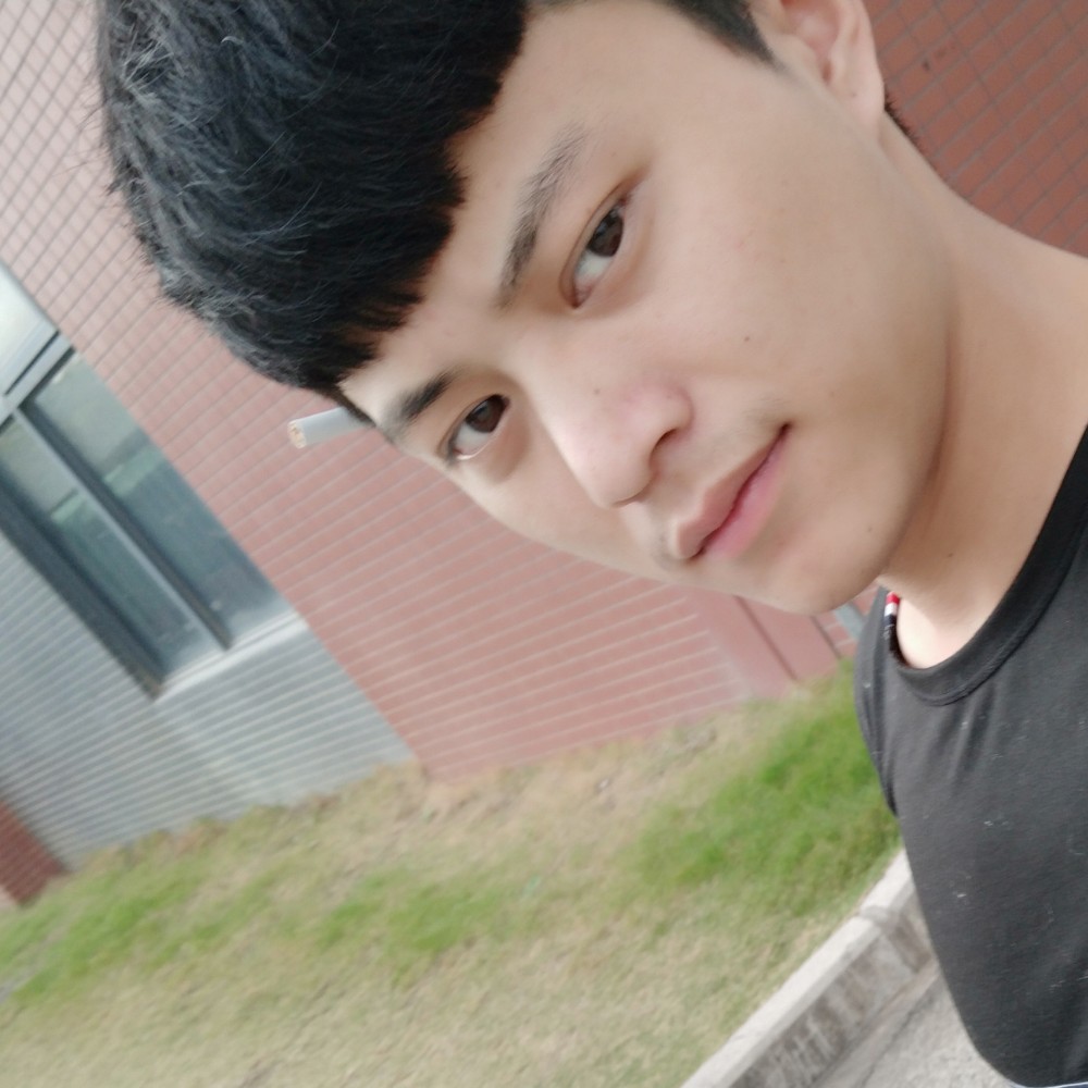 玫瑰改变热情的照片