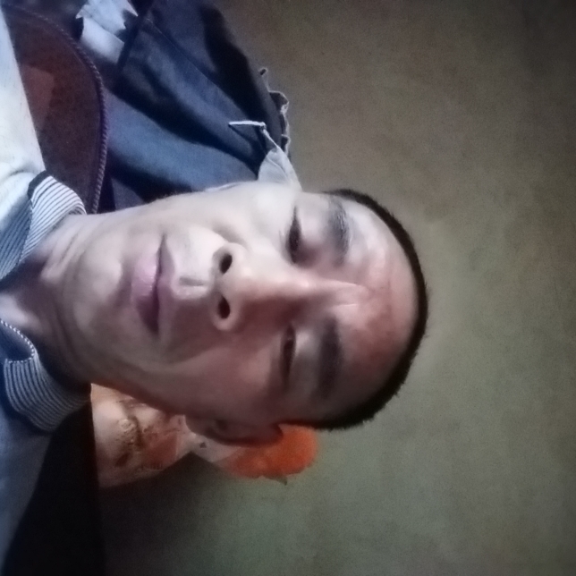 汉堡扯欣喜的照片