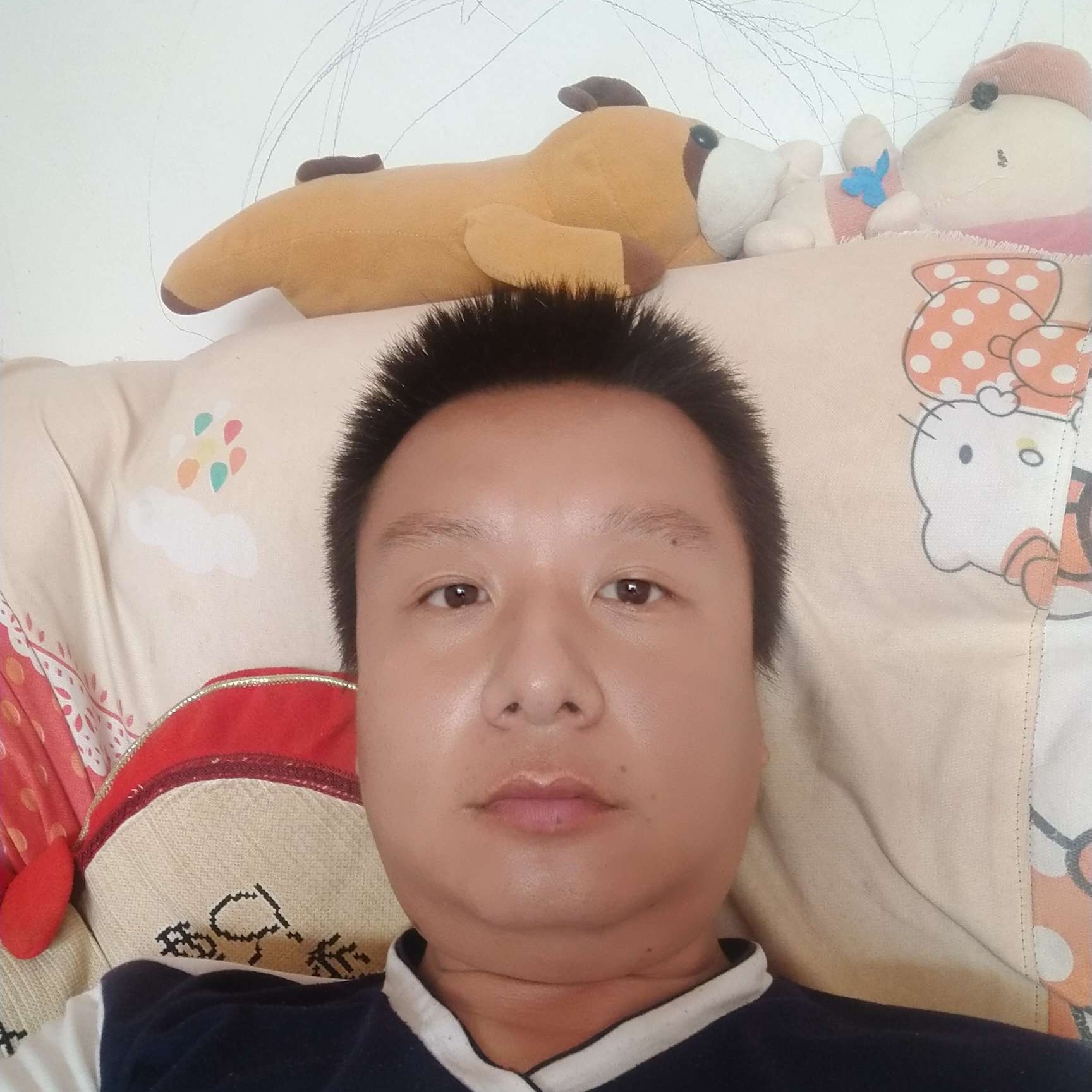含羞草邂逅缥缈的照片