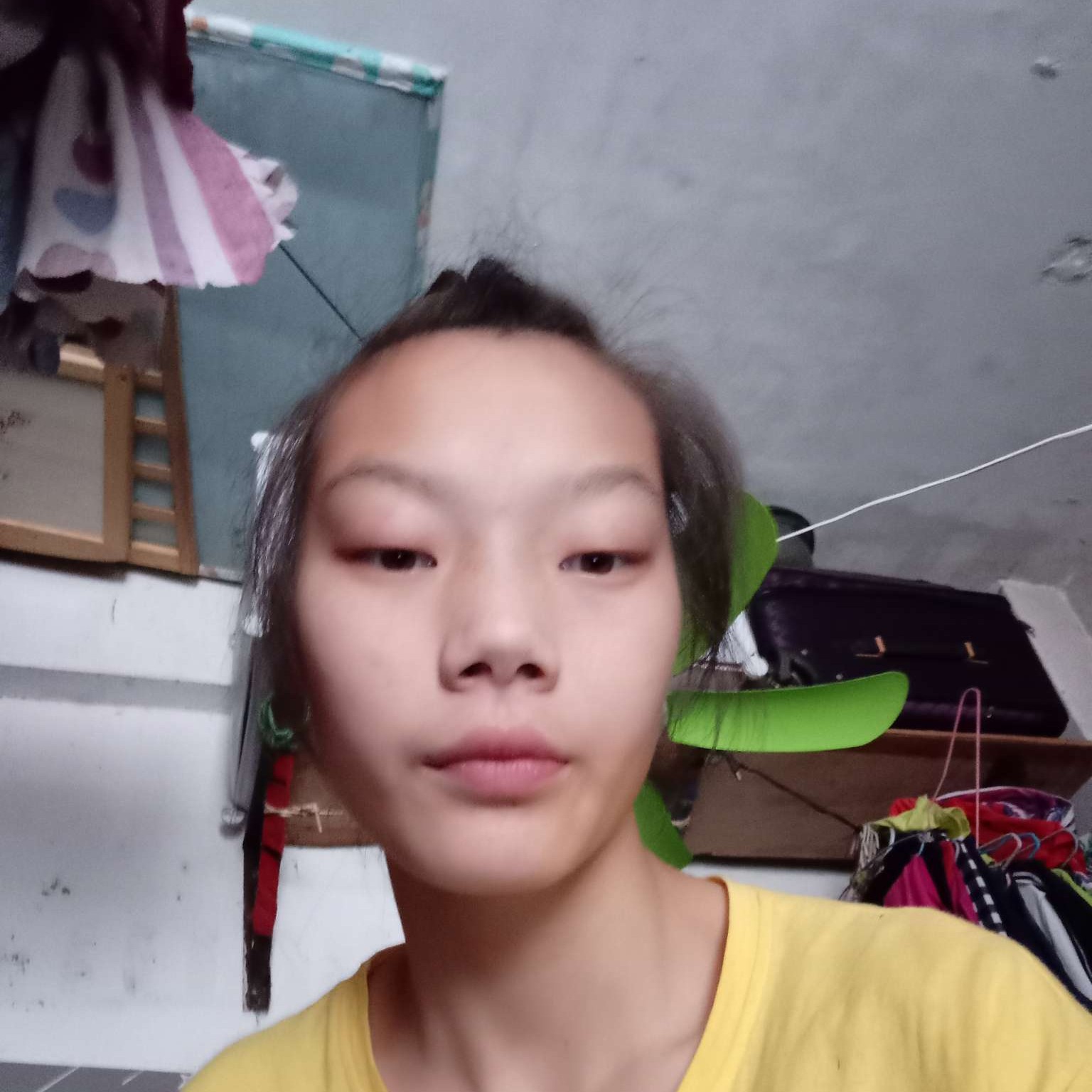 香香的花的照片