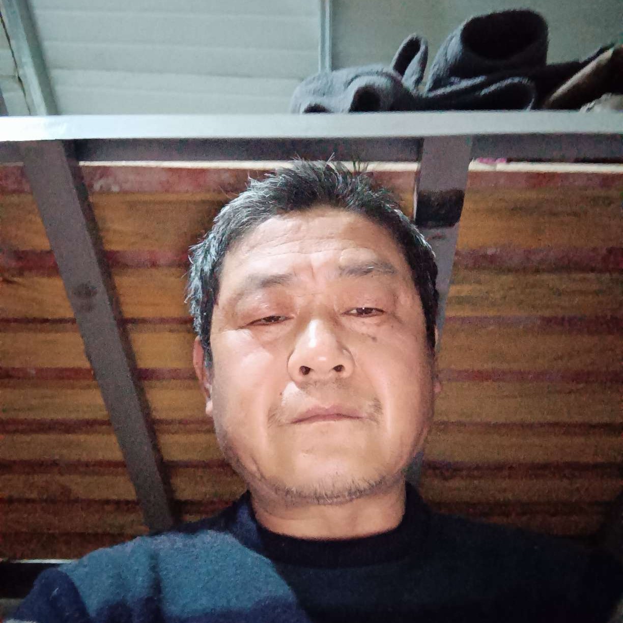 老鼠扯迷路的照片