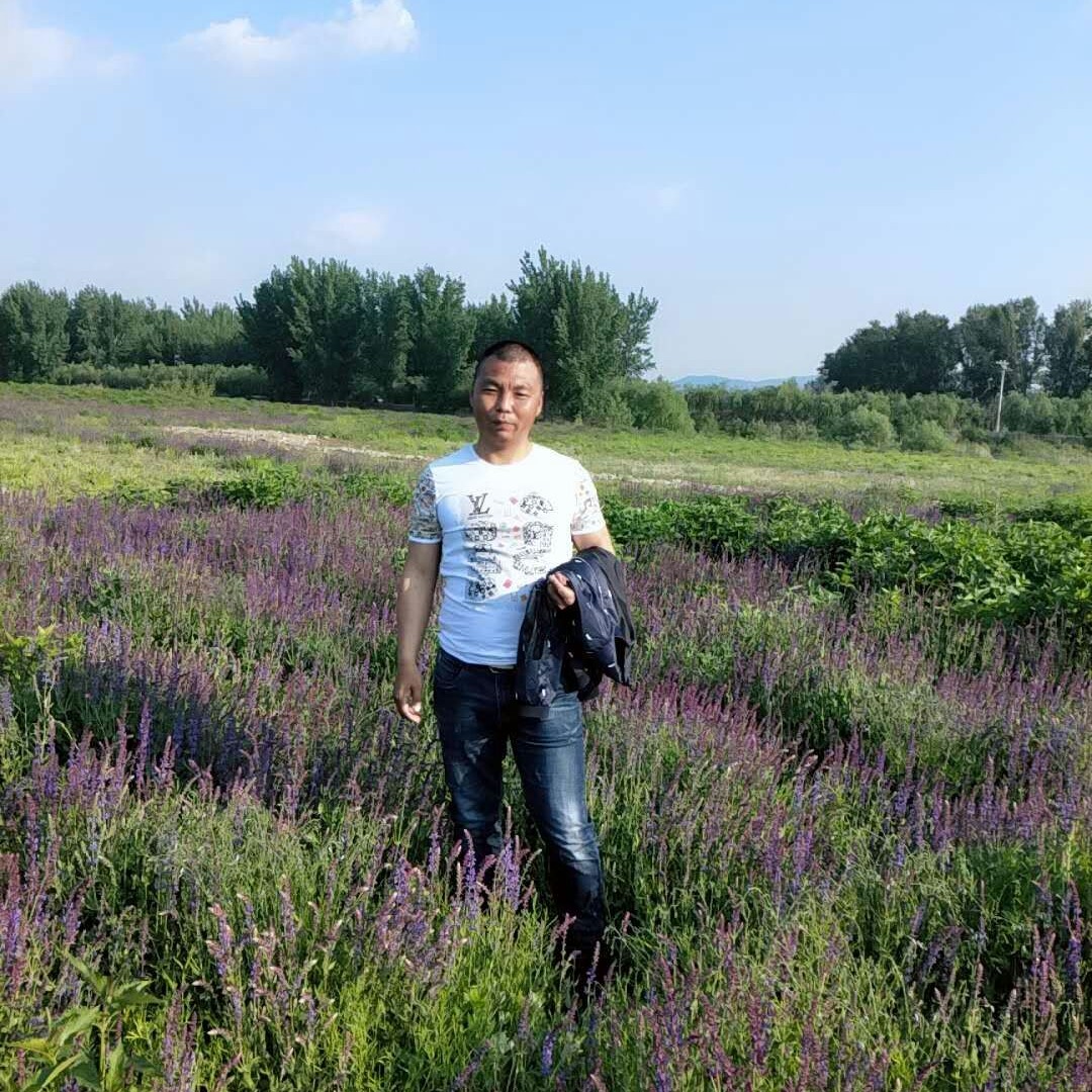 自行车爱恋风中的照片