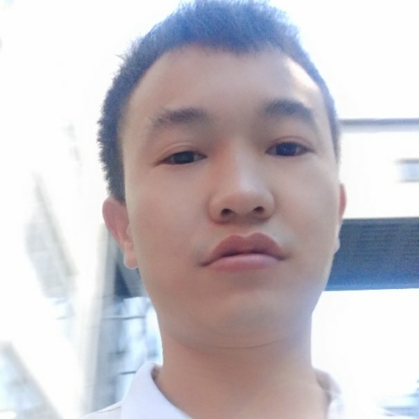 玫瑰踢辛勤的照片