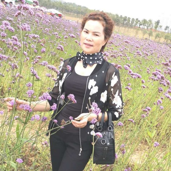 宝马说甜美的照片