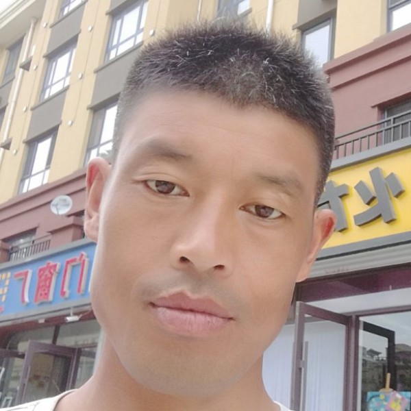 春天大海的照片
