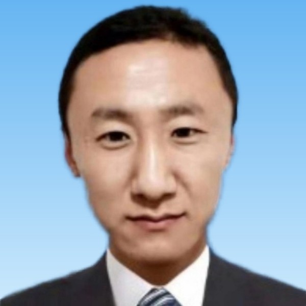 林间鹿的照片