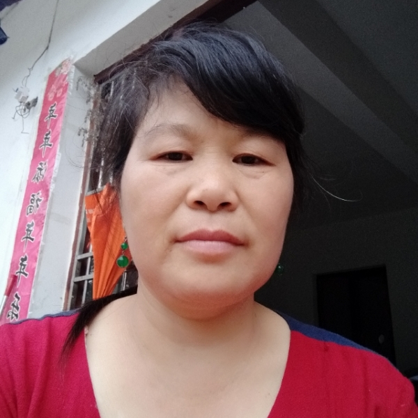 孤独向太阳的照片