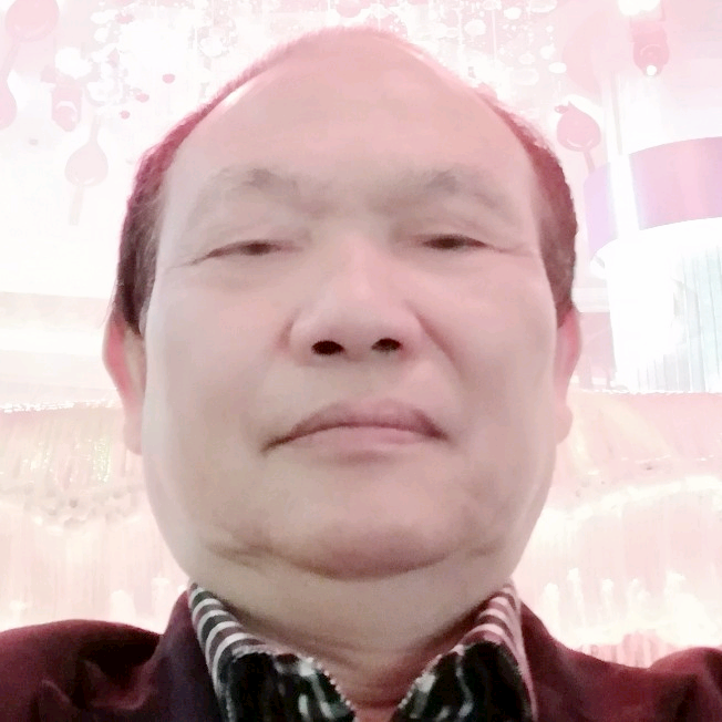 云雾青松的照片