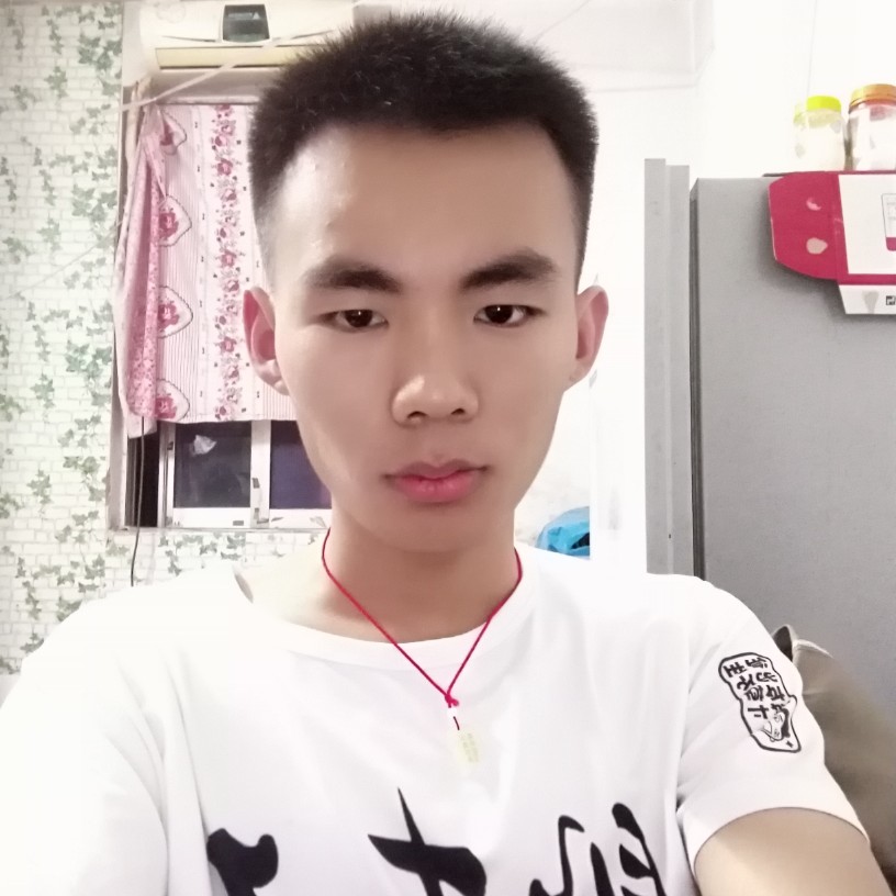 鳗鱼灰狼的照片