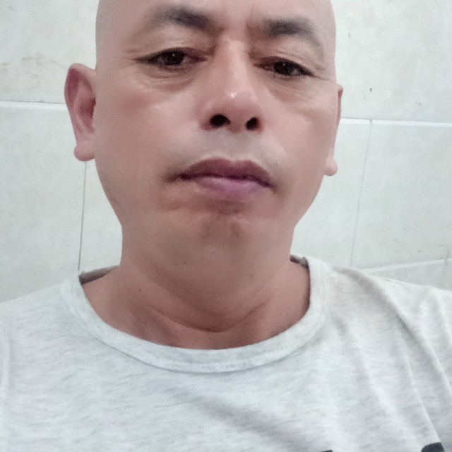 康乃馨扯自由的照片