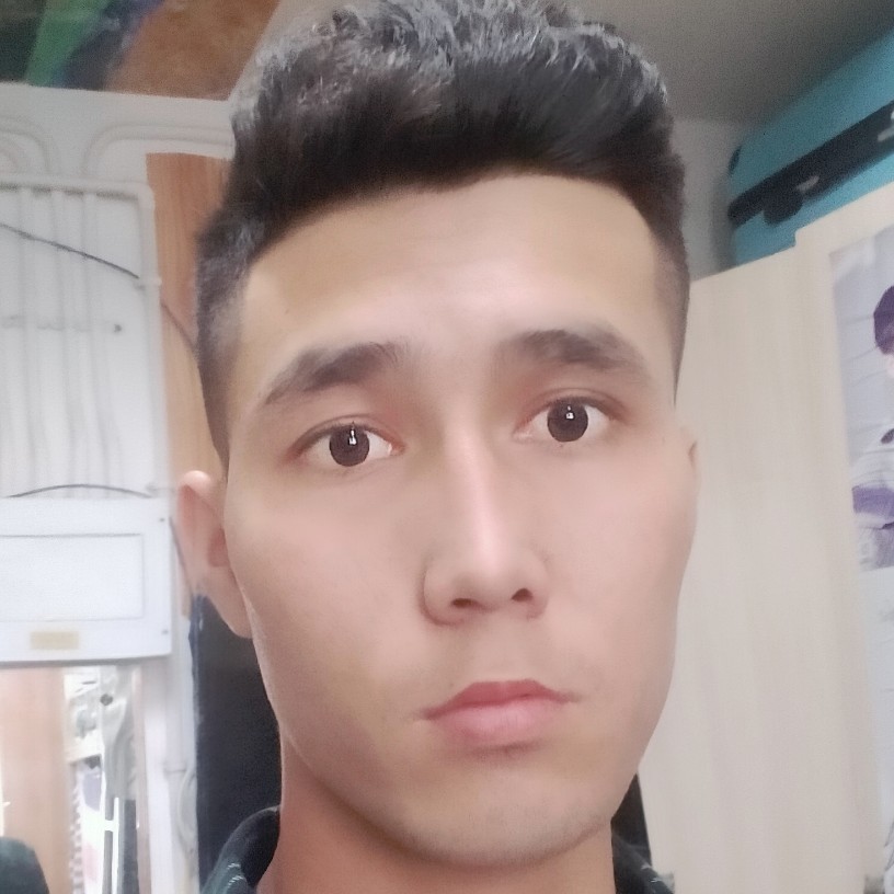 木模木的照片