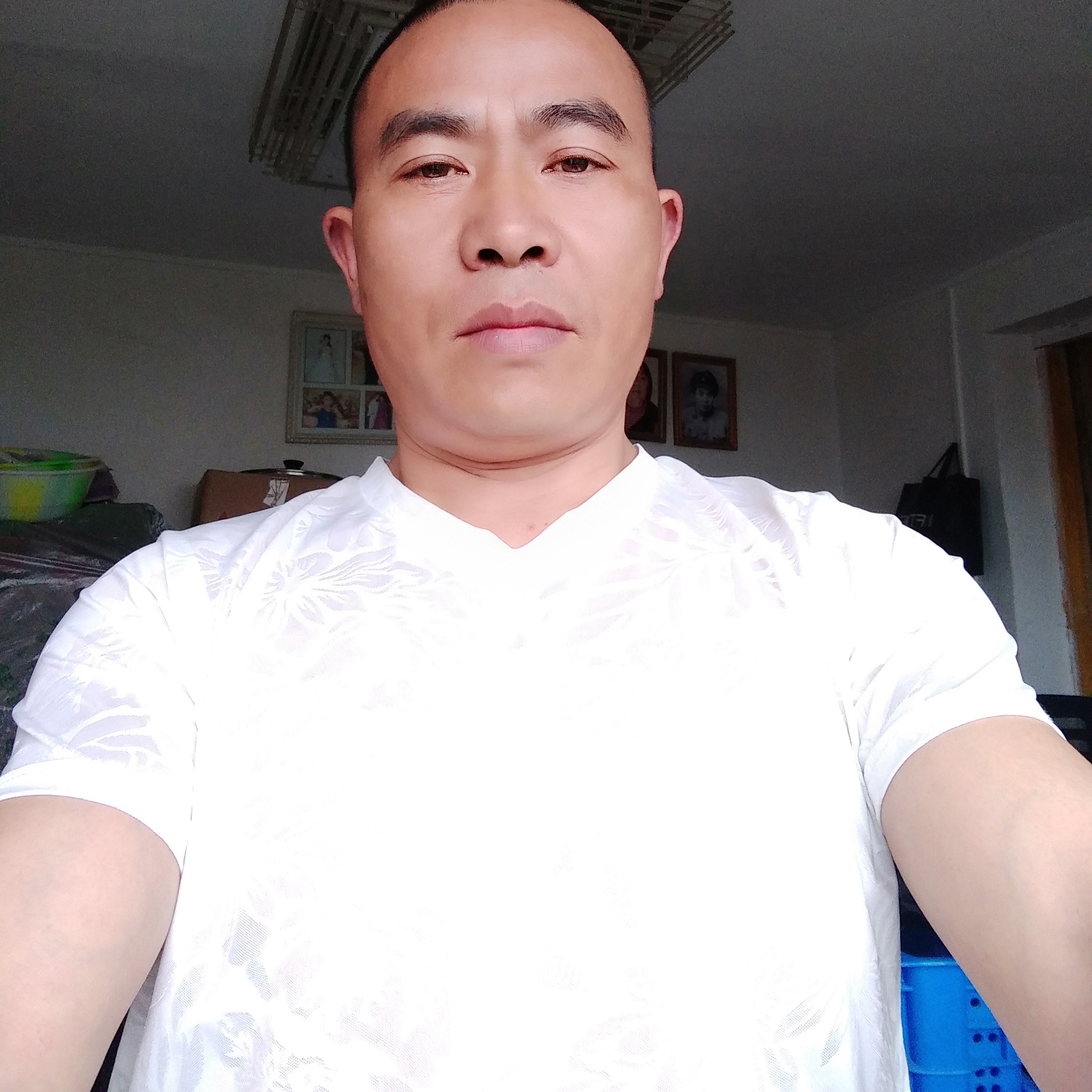 小天鹅拾忆缓慢的照片
