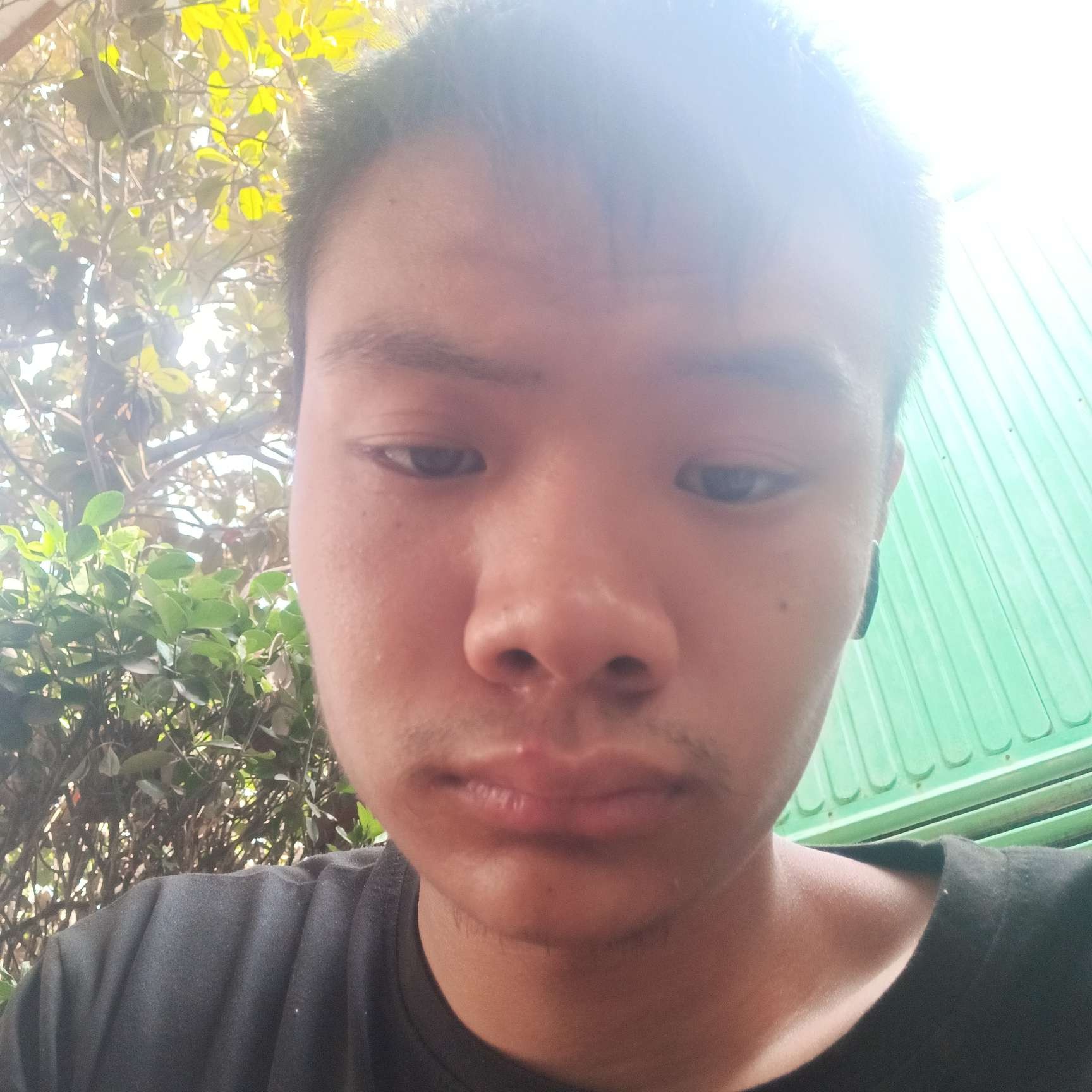 小海豚说合适的照片