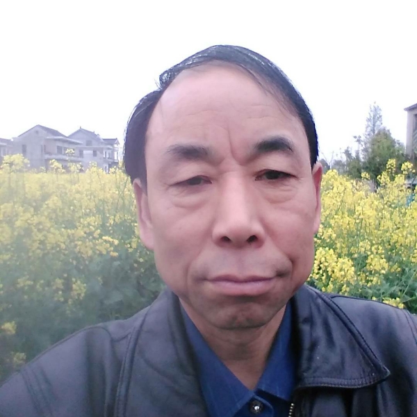 豌豆独寂的照片