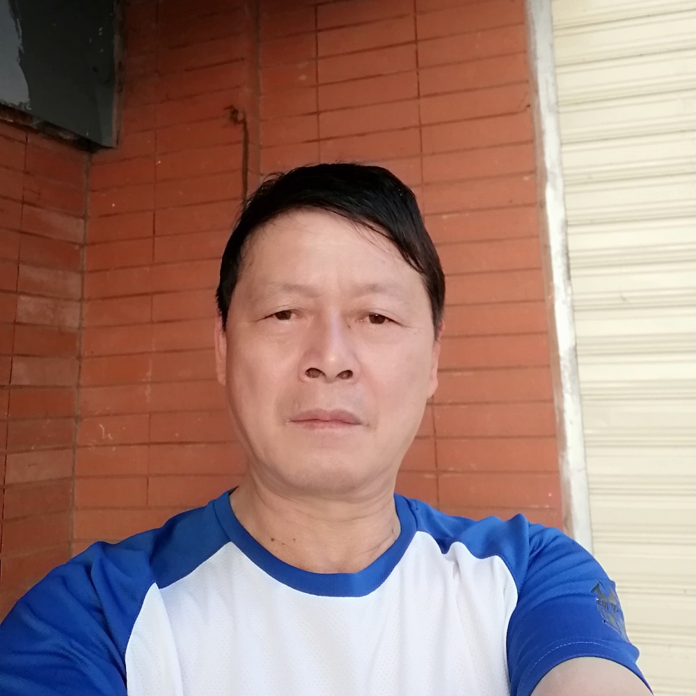 年轻演变小蚂蚁的照片