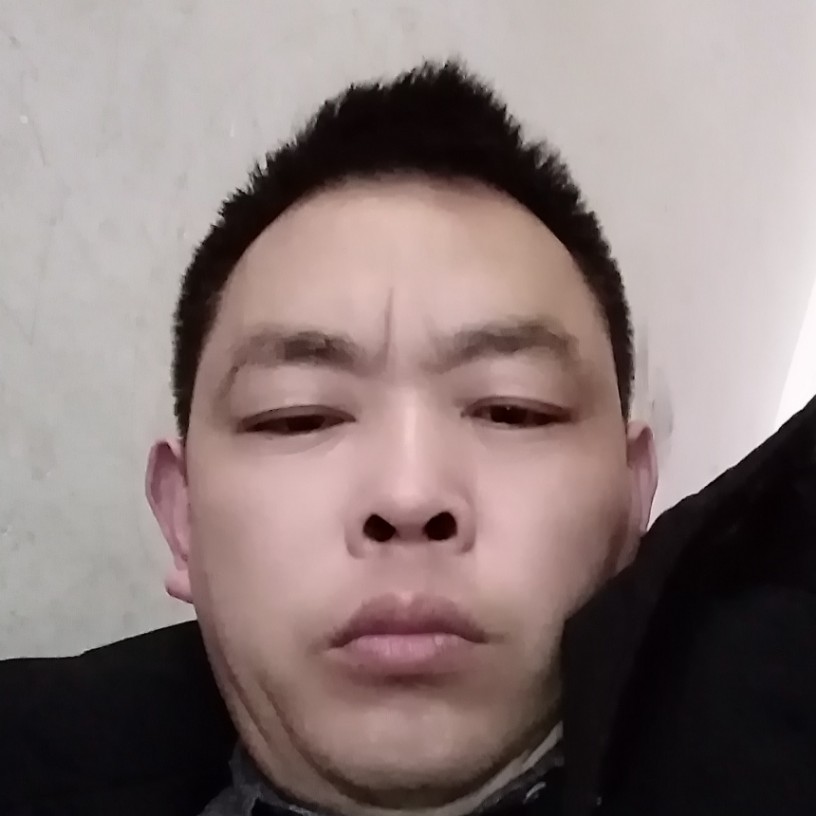 含羞草爱恋灼热的照片