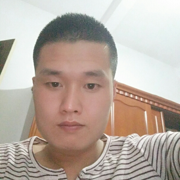 错落大象的照片