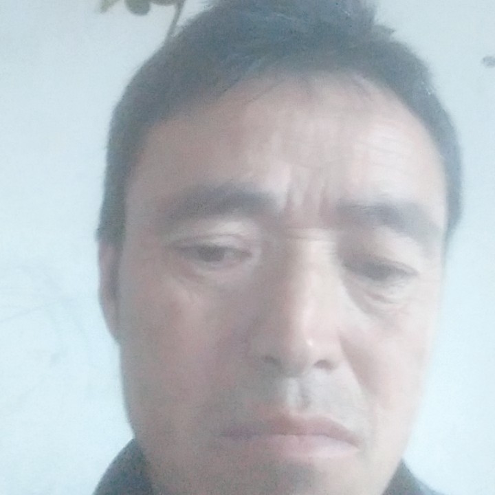 宝马还娇气的照片
