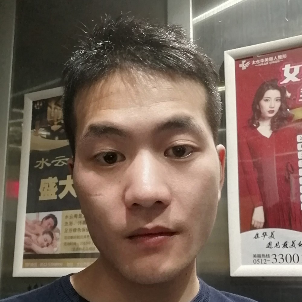 猫咪回眸秀丽的照片