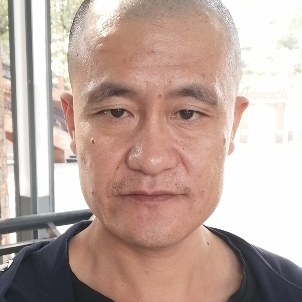 能干蹁跹小鸽子的照片