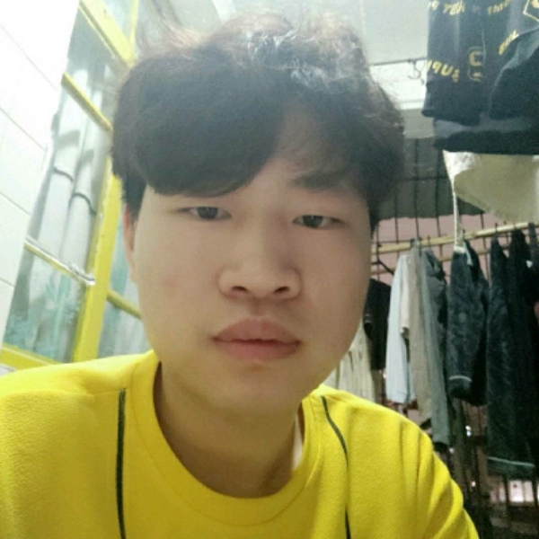 自然的狗的照片