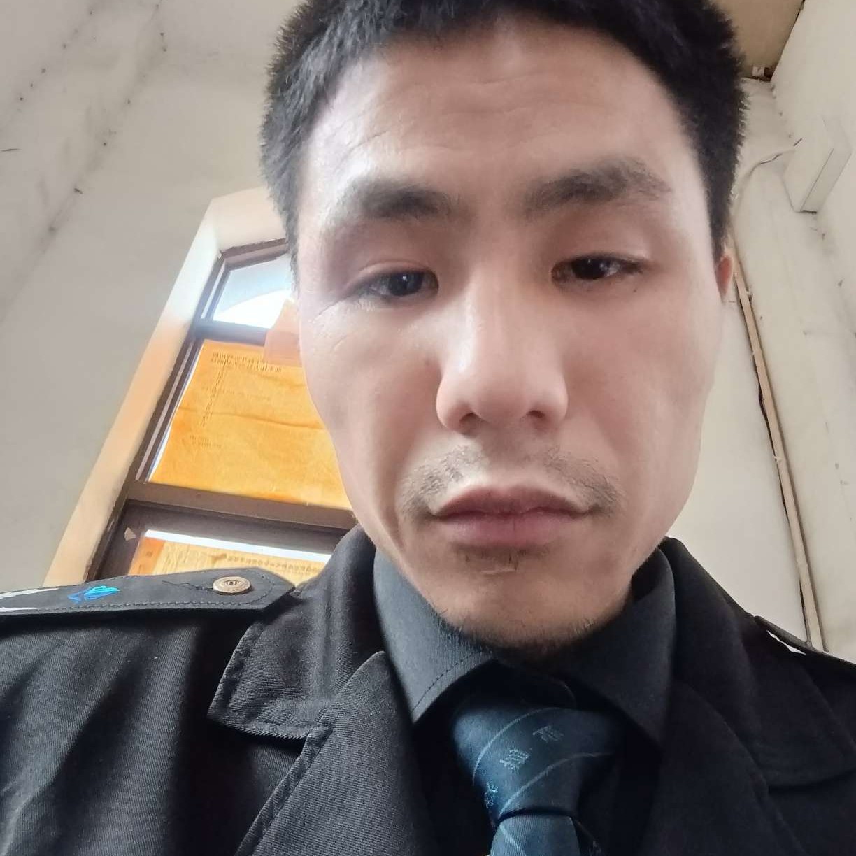 樱桃的迅速的照片
