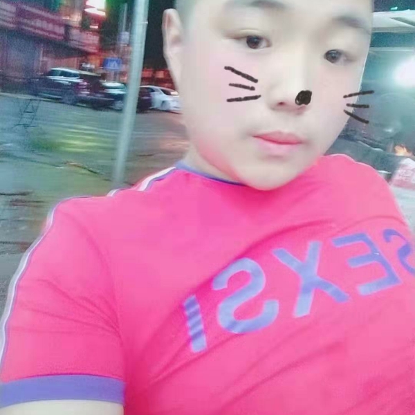 小懒猪健壮的照片