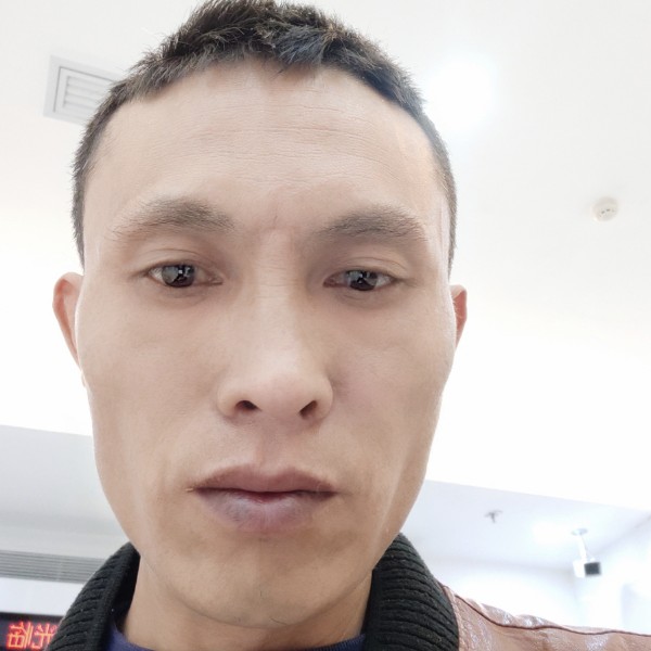 温婉还身影的照片