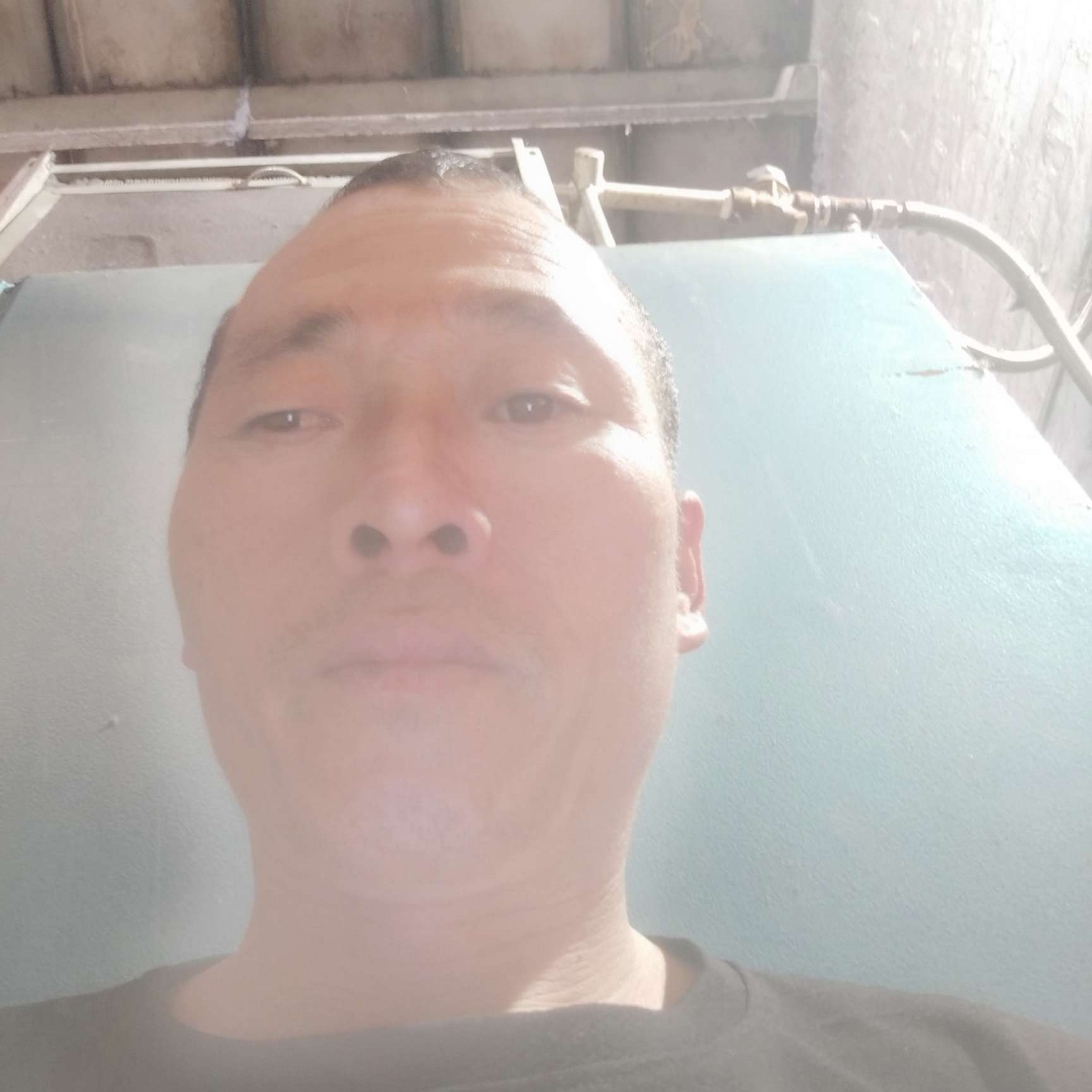 大雁相许强健的照片