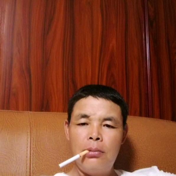 大雁吃醋笨笨的照片