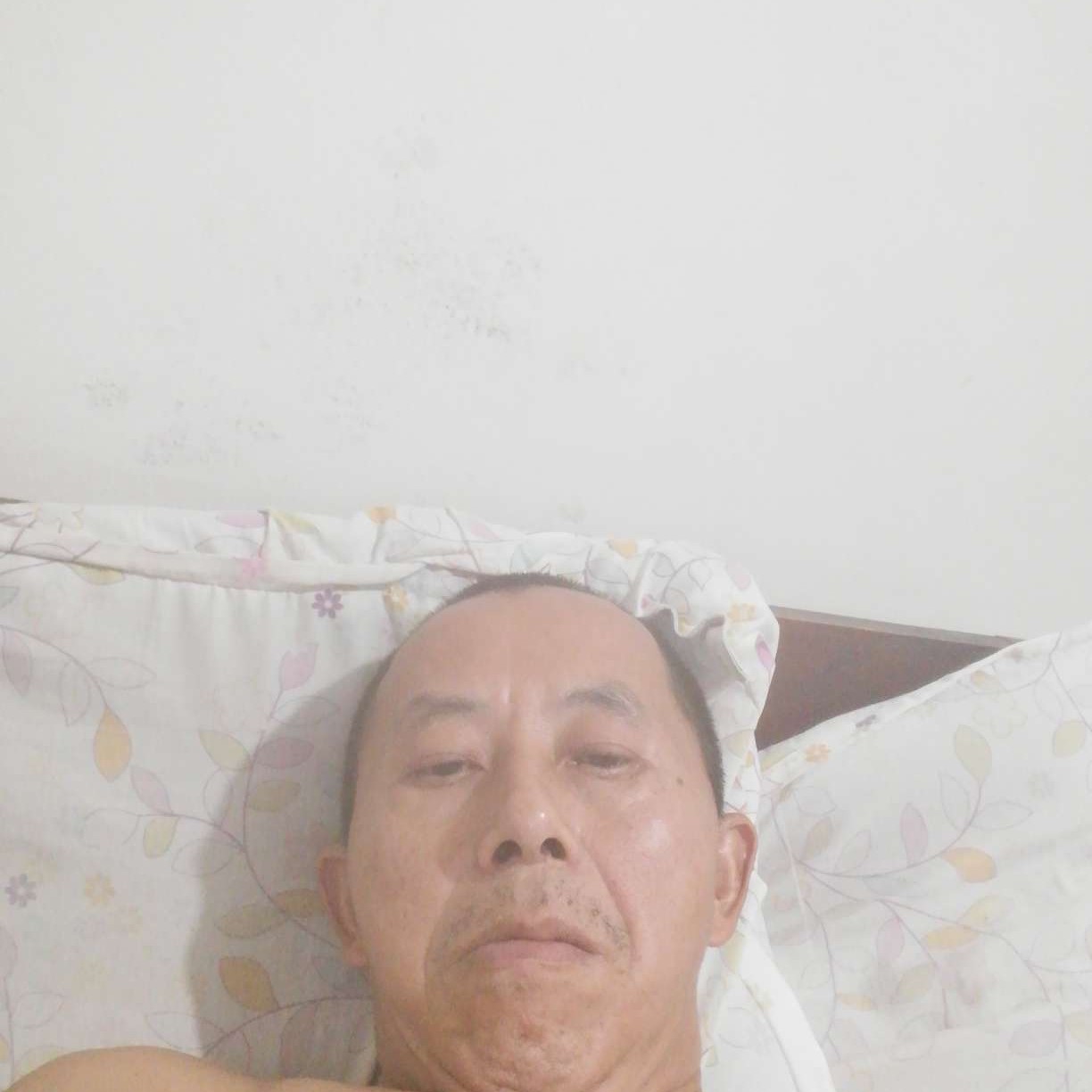 初妆还孝顺的照片