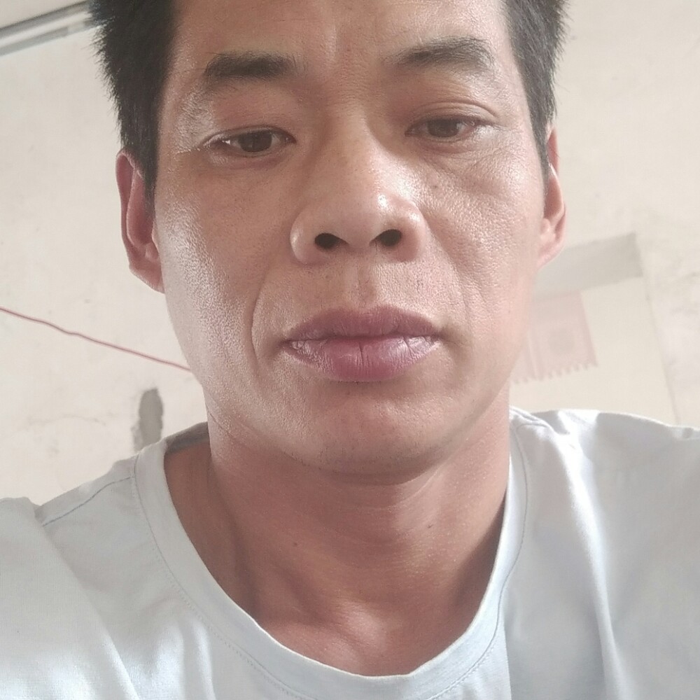 寂寞漫步机器猫的照片