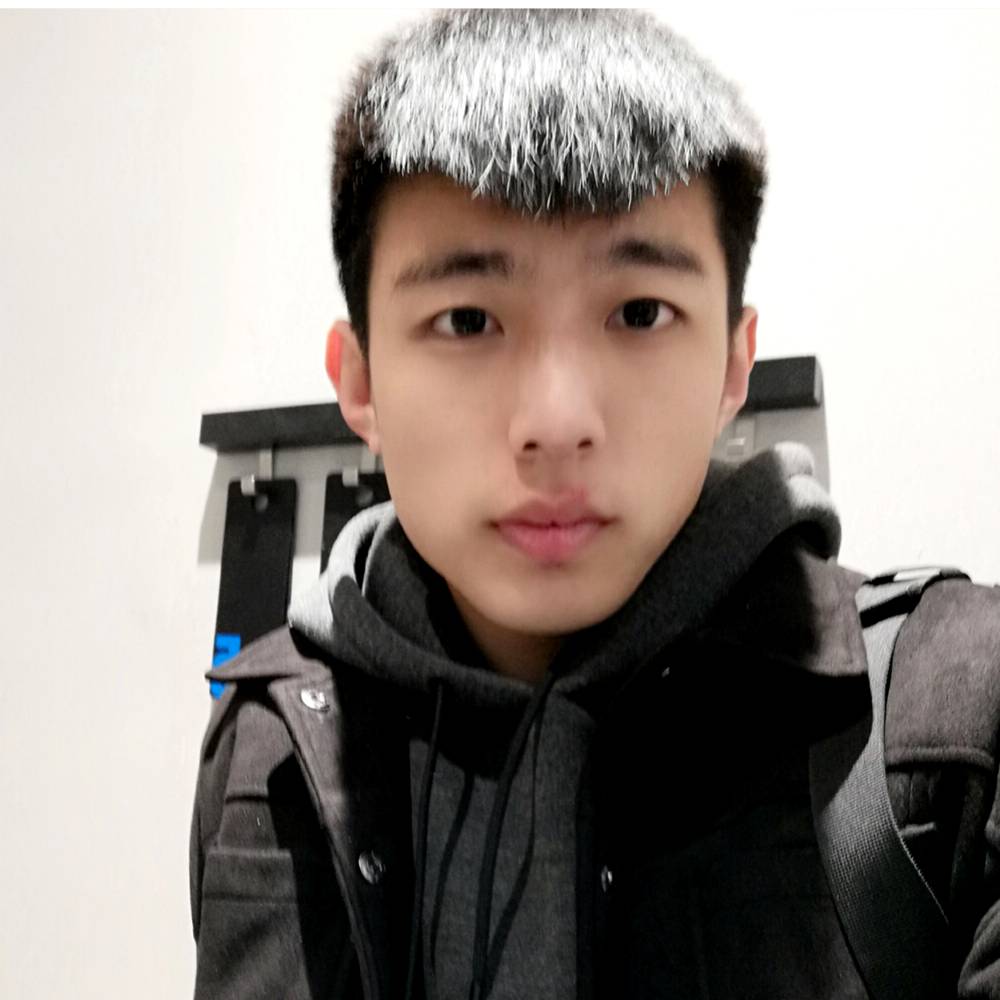 葵花籽的照片