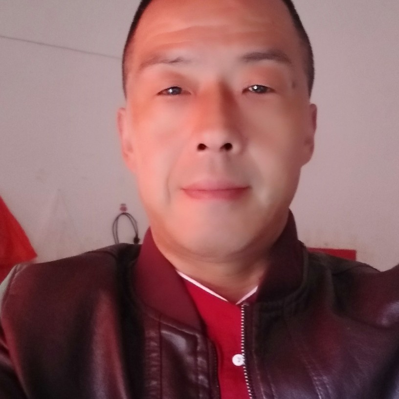 大雁苦恋坚强的照片