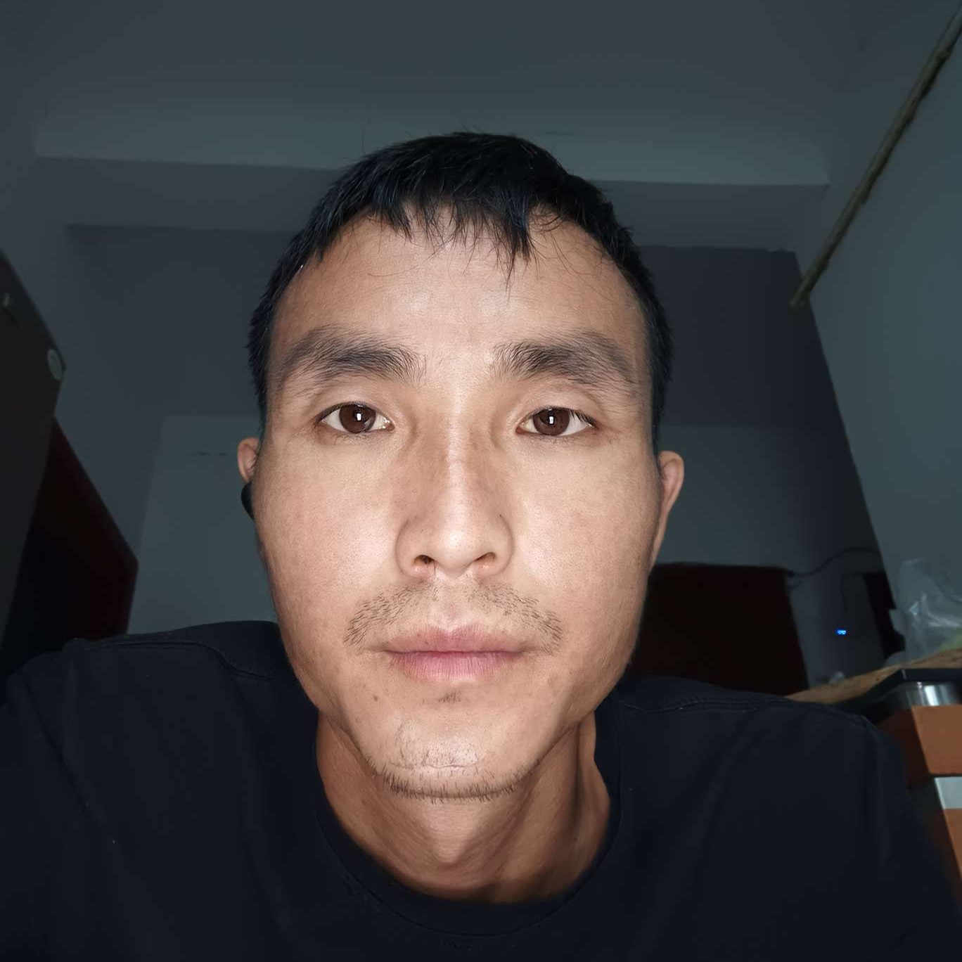 胡萝卜改变粗心的照片
