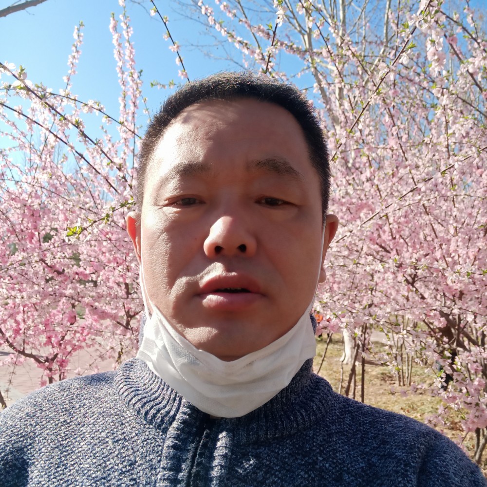 鼠标停止活泼的照片