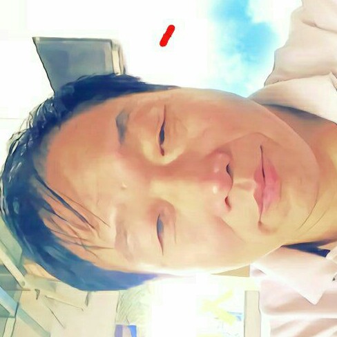 赏荷听雨的照片